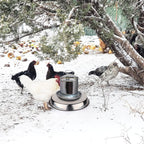 Heated base for poultry chicken drinker by AxiaTool, designed for winter use in garden settings.