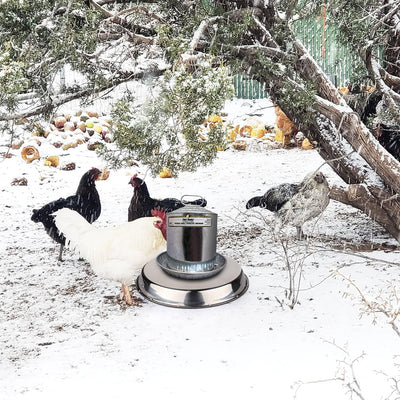 Heated base for poultry chicken drinker by AxiaTool, designed for winter use in garden settings.